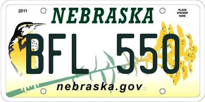 NE license plate BFL550
