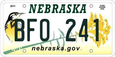 NE license plate BFO241