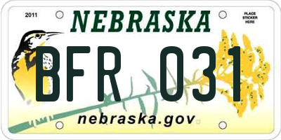 NE license plate BFR031