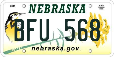 NE license plate BFU568