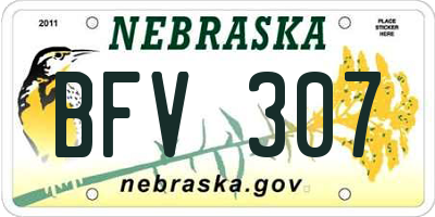 NE license plate BFV307