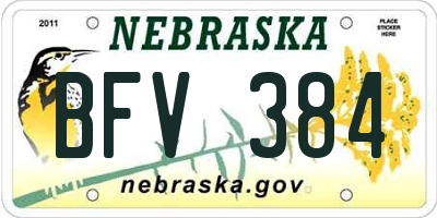 NE license plate BFV384
