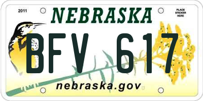 NE license plate BFV617