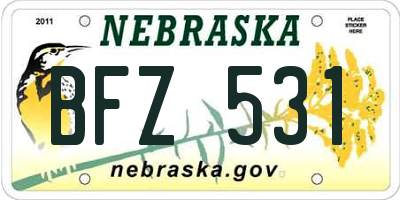 NE license plate BFZ531