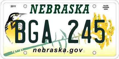 NE license plate BGA245