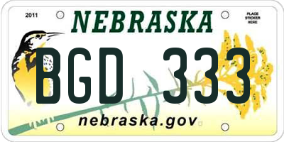 NE license plate BGD333