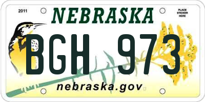 NE license plate BGH973