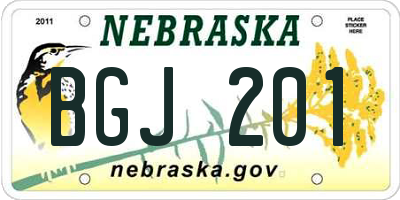 NE license plate BGJ201