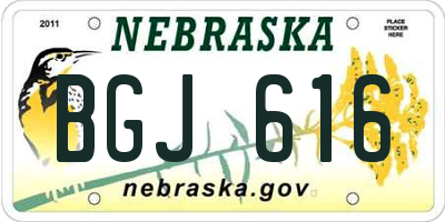 NE license plate BGJ616