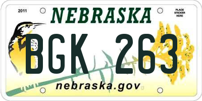 NE license plate BGK263