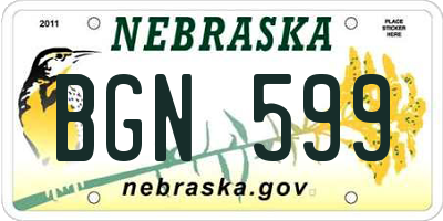 NE license plate BGN599