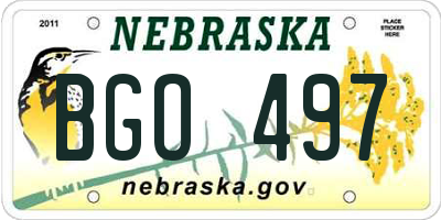 NE license plate BGO497