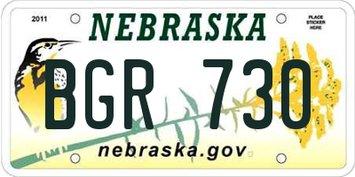 NE license plate BGR730
