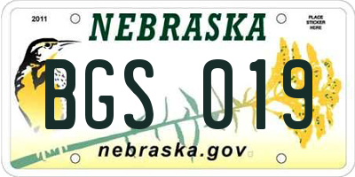 NE license plate BGS019