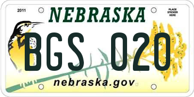 NE license plate BGS020