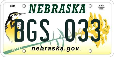 NE license plate BGS033