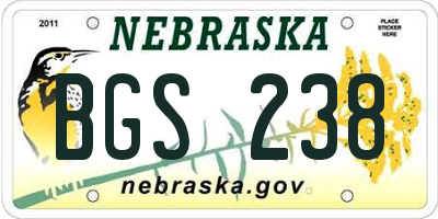NE license plate BGS238