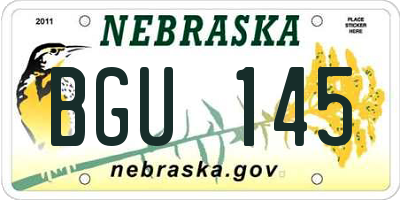 NE license plate BGU145