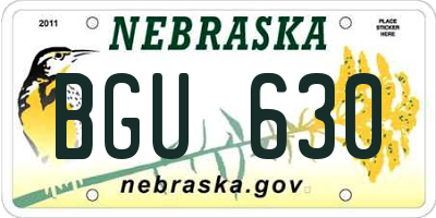 NE license plate BGU630