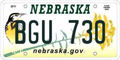 NE license plate BGU730