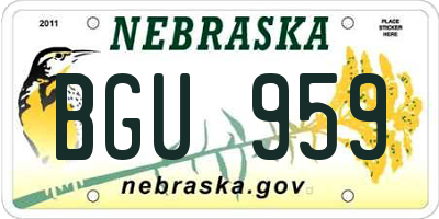 NE license plate BGU959