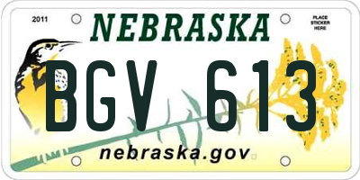 NE license plate BGV613