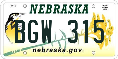 NE license plate BGW315