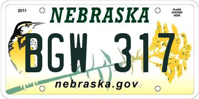 NE license plate BGW317