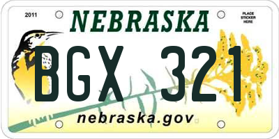 NE license plate BGX321