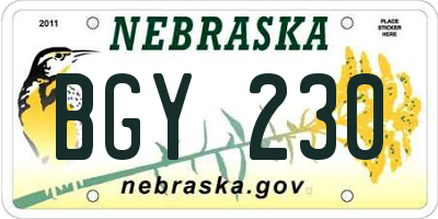 NE license plate BGY230