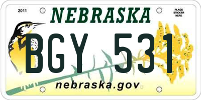 NE license plate BGY531