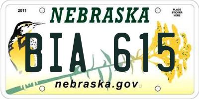 NE license plate BIA615