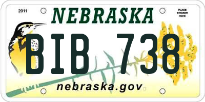 NE license plate BIB738