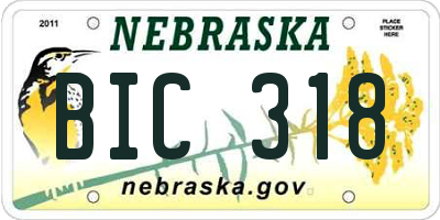 NE license plate BIC318