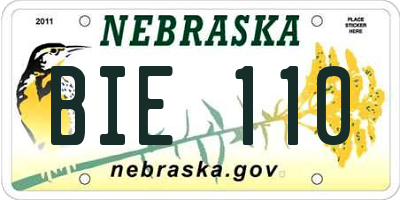 NE license plate BIE110