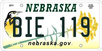 NE license plate BIE119