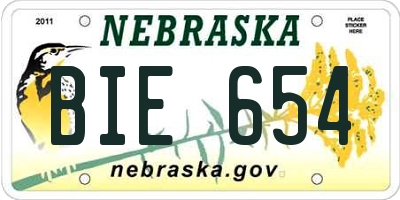 NE license plate BIE654
