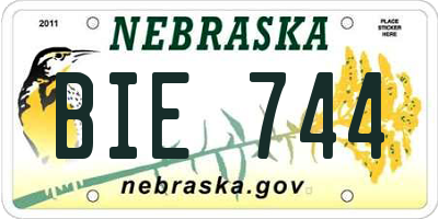 NE license plate BIE744