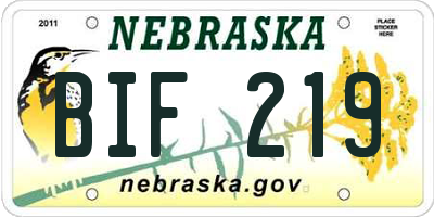 NE license plate BIF219