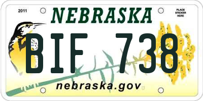 NE license plate BIF738