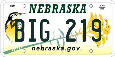 NE license plate BIG219