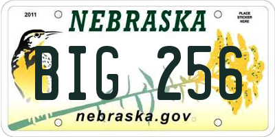NE license plate BIG256