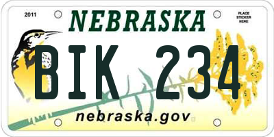 NE license plate BIK234