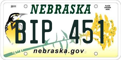NE license plate BIP451