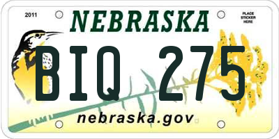 NE license plate BIQ275