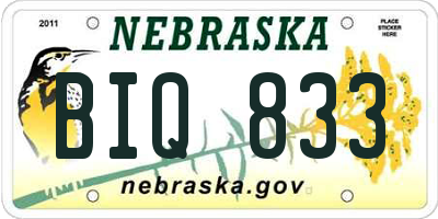 NE license plate BIQ833