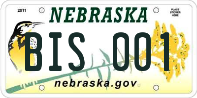 NE license plate BIS001