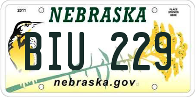 NE license plate BIU229