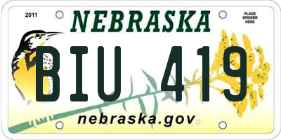 NE license plate BIU419