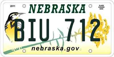NE license plate BIU712